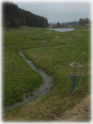 Revitalizovan st Domannskho potoka u Janoviek